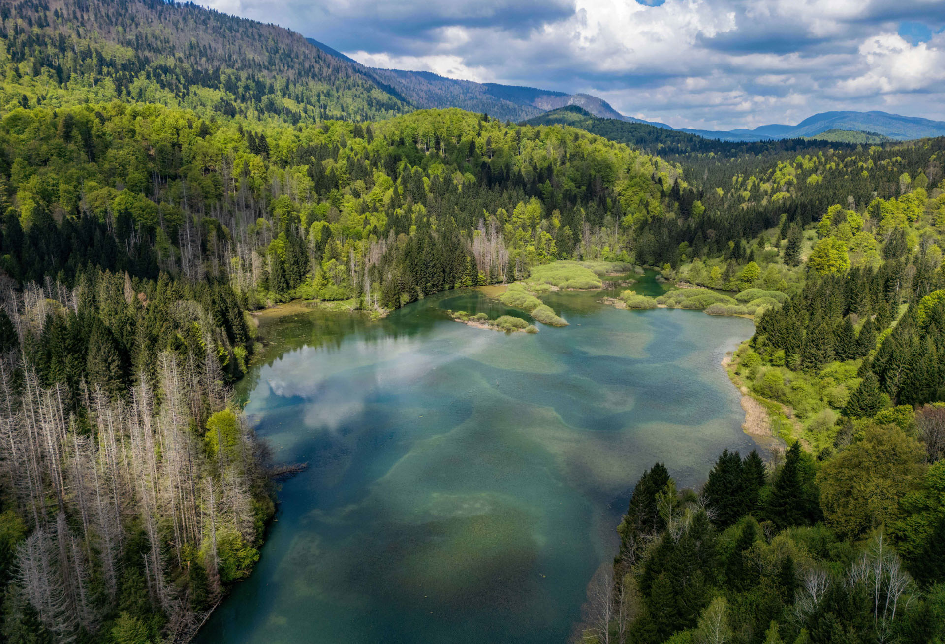Reško jezero pri Kočevski Reki