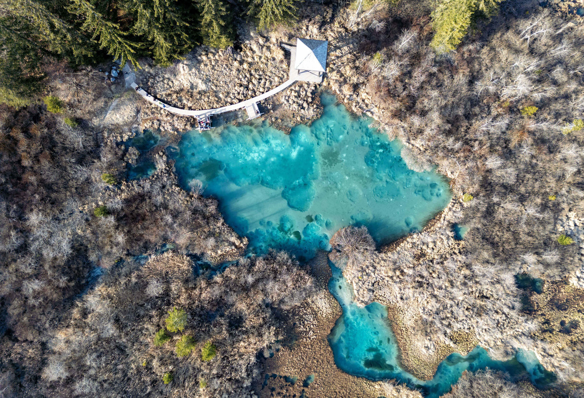 Zelenci